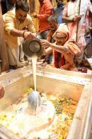  HH Swamiji performs Abhisheka at Shri Kashi Vishwanath Temple, renders the bhajans 'Mahadeva Sharanam' and 'Samba Sadashiva' (26.03.2025)